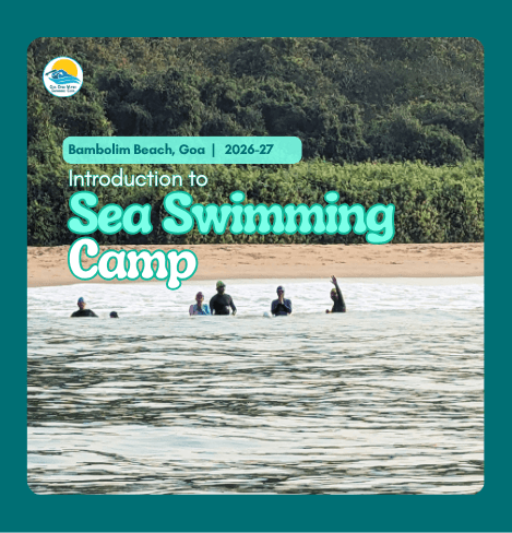 Introduction to Sea Swimming Camp 2026-27