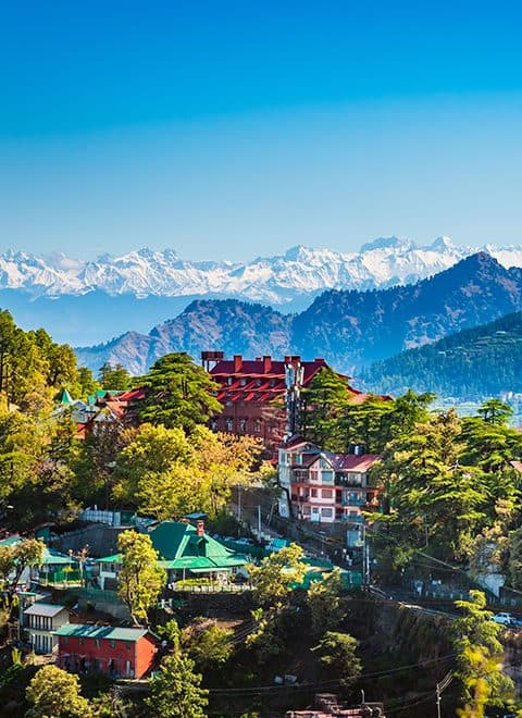 Dehradun Half Marathon 2026 - Running Festival